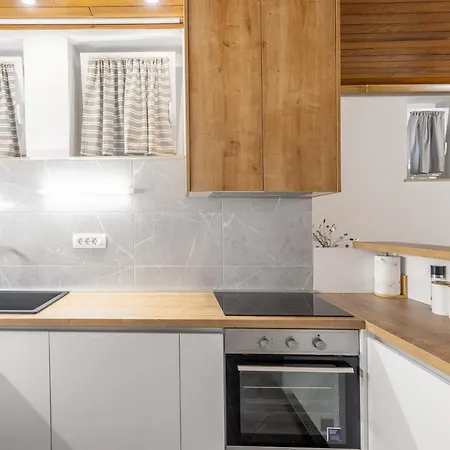 Viktor Apartment *